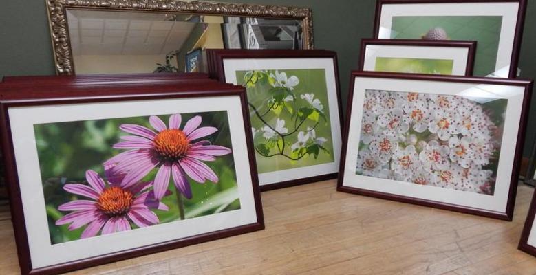 Pictures framed for Mayo Clinic by The Frame Gallery in Holmen, WI